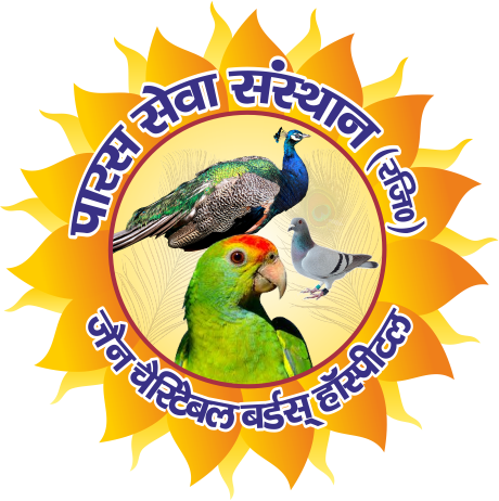 Paras Seva Sansthan